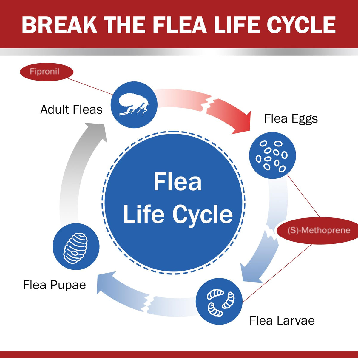 Flea and Tick Prevention for Large Dogs 45 to 88 lbs Y85486