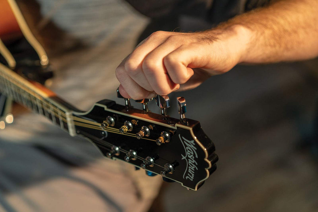 Mandolin Z55303