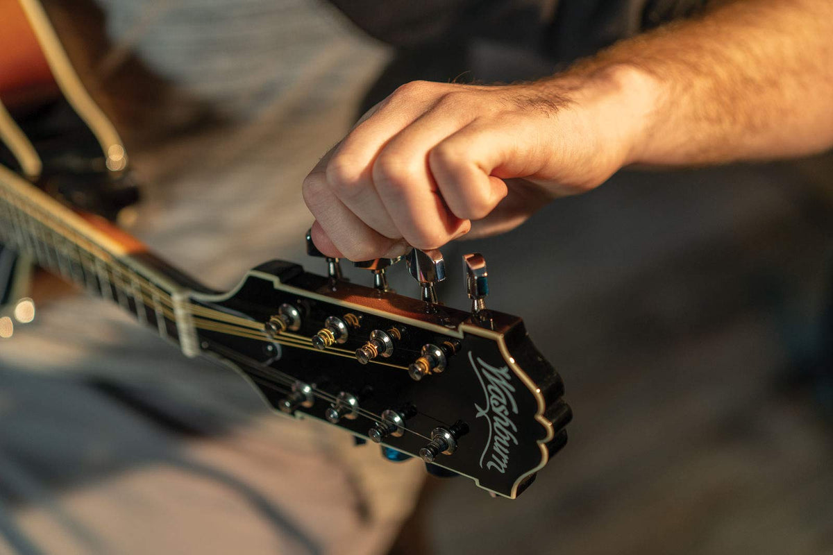 Mandolin Z55303