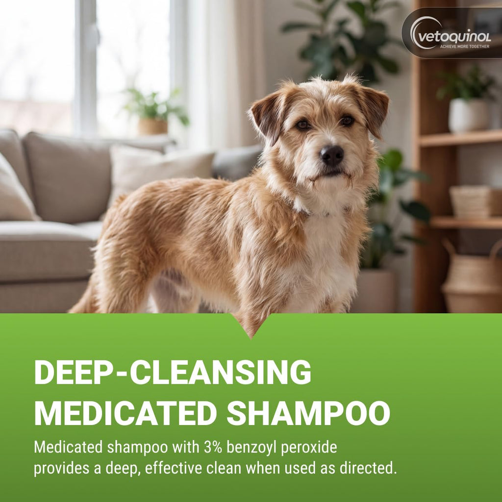 16oz 3% Benzoyl Peroxide Medicated Shampoo V8785