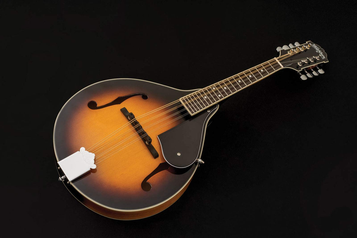 Mandolin Z55303