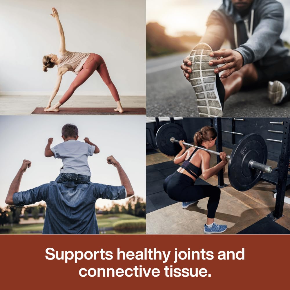 Unflavored Bone Broth Protein Powder S642312