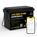 12V 300Ah LiFePO4 Battery with 200A BMS A164741