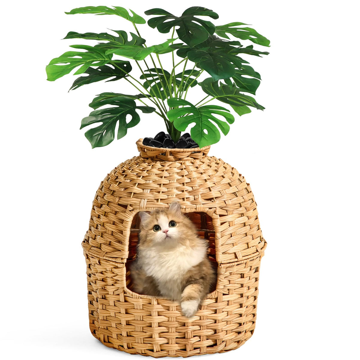 Cat Litter Box Enclosure J691617