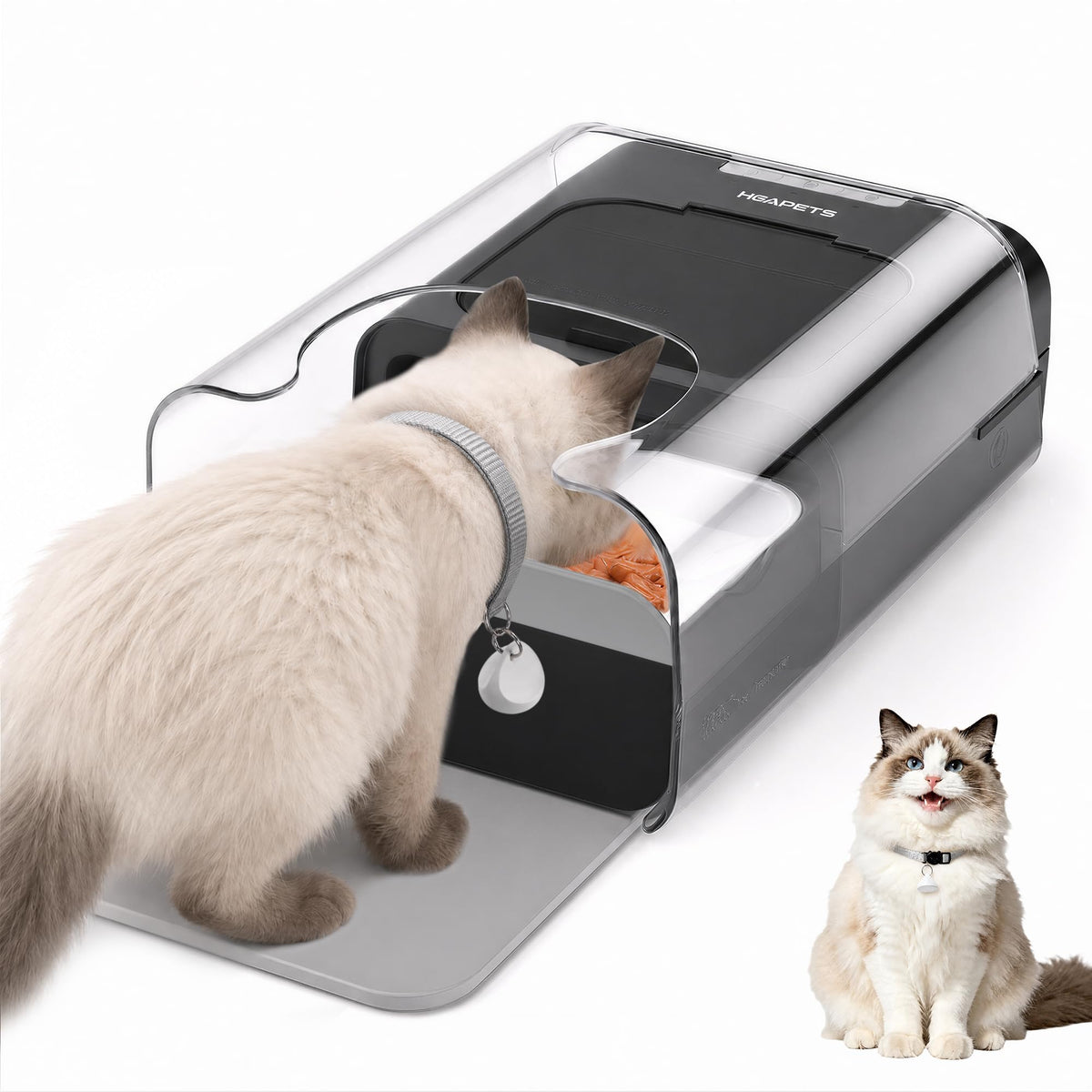 Automatic Cat Feeder with RFID Collar Sensor, Black E482729