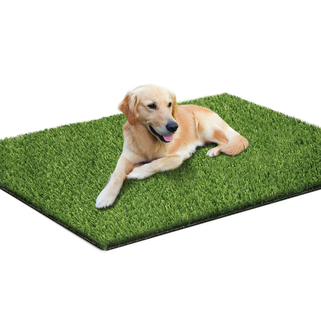 43.3 x 29.5 Inches Washable Artificial Grass Rug T856