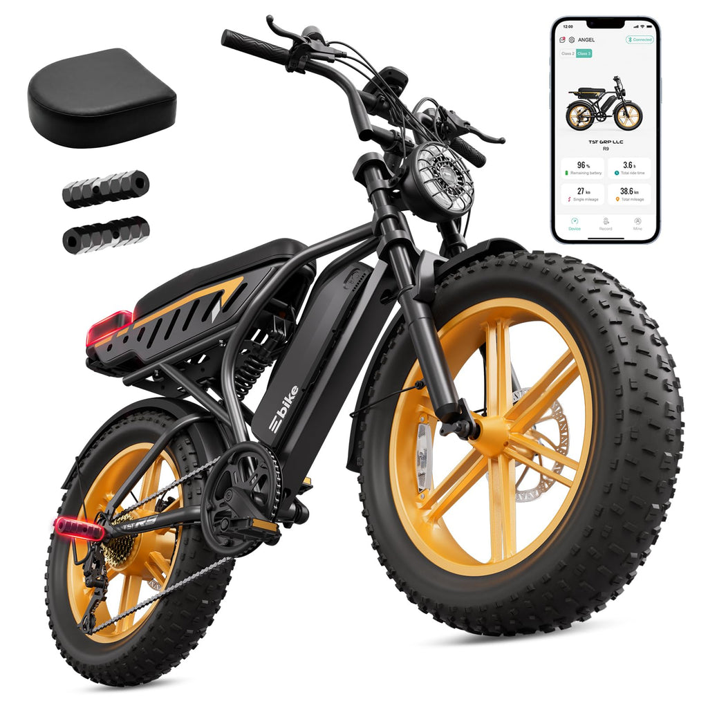 48V 2000W Peak Motor 20 * 4.0 Fat Tire Electric Bike X7302