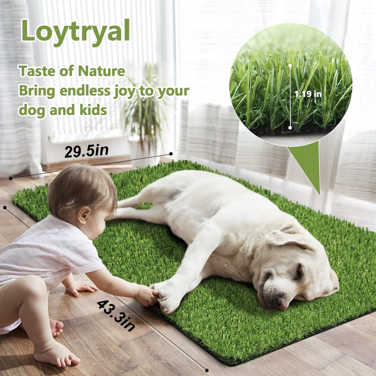 43.3 x 29.5 Inches Washable Artificial Grass Rug T856