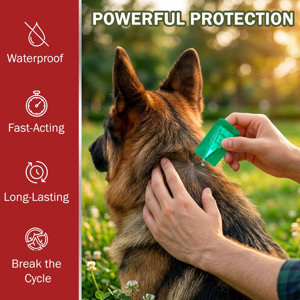 Flea and Tick Prevention for Large Dogs 45 to 88 lbs Y85486