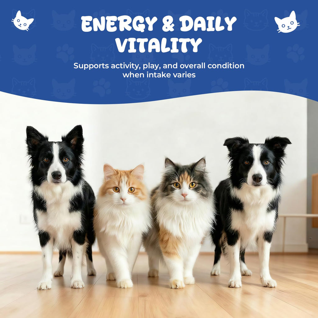 Vitamin B12 Drops with Methylcobalamin G405
