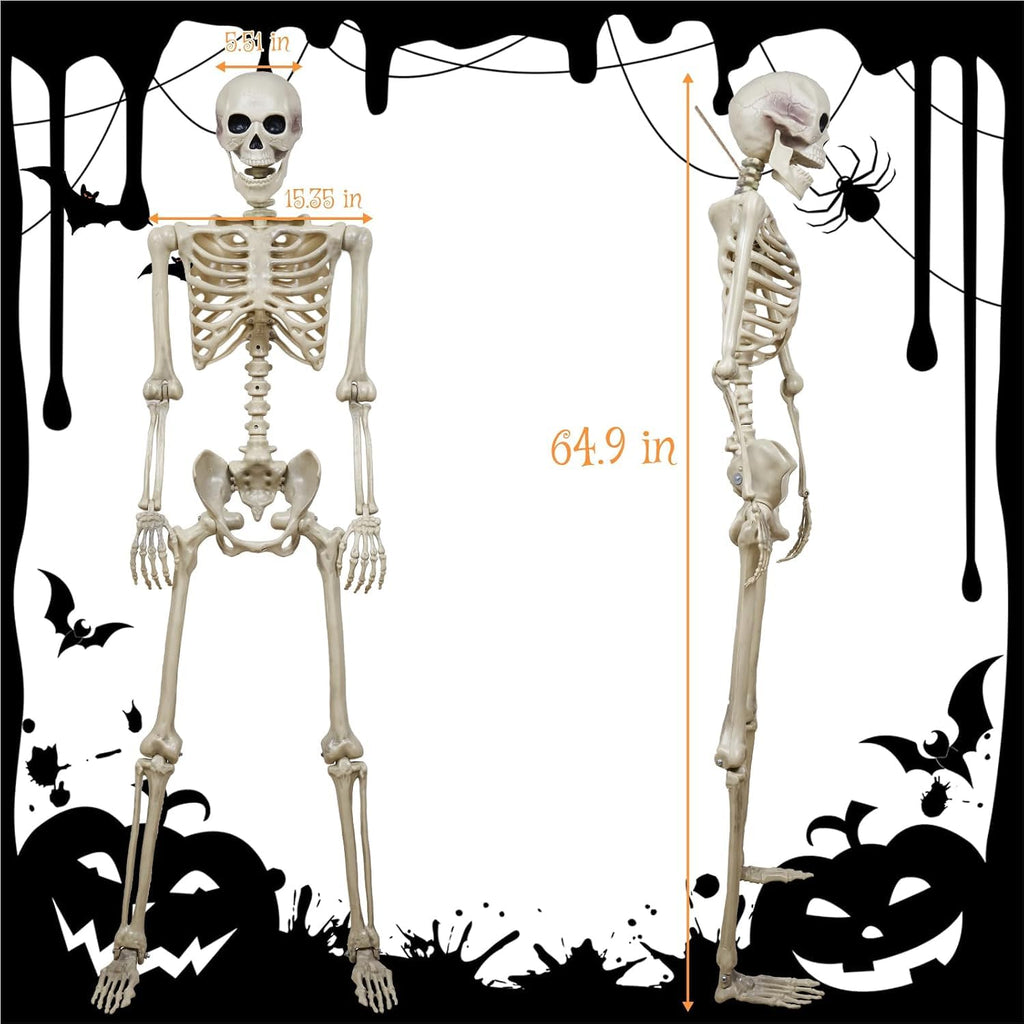 5.4ft Realistic Human Skeleton G68996