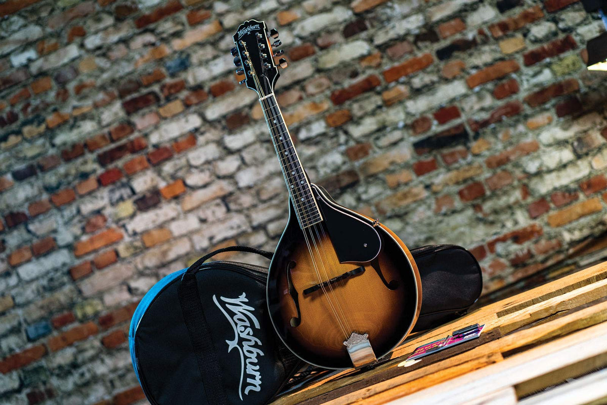 Mandolin Z55303