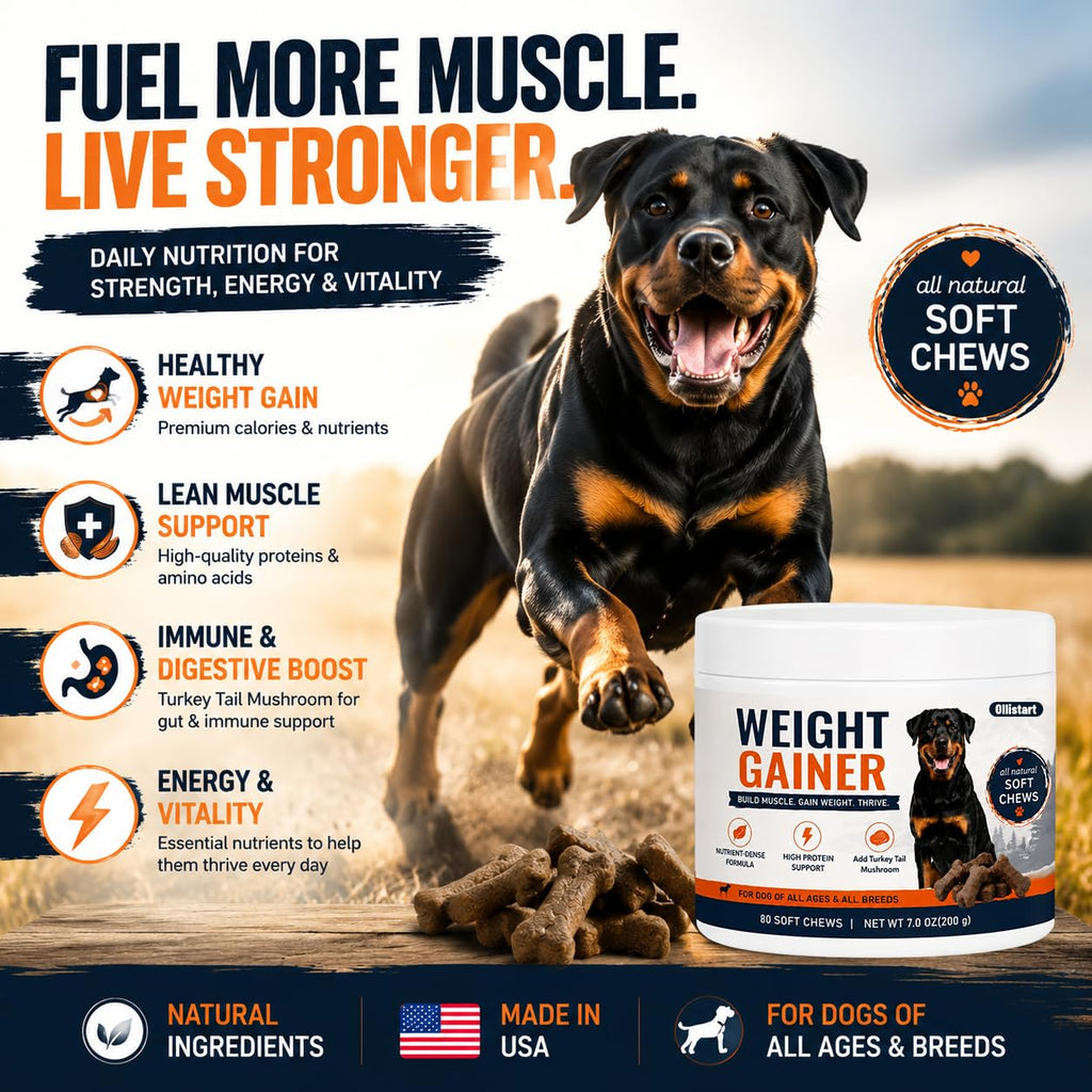High Calorie Dog Weight Gainer Chews G30340