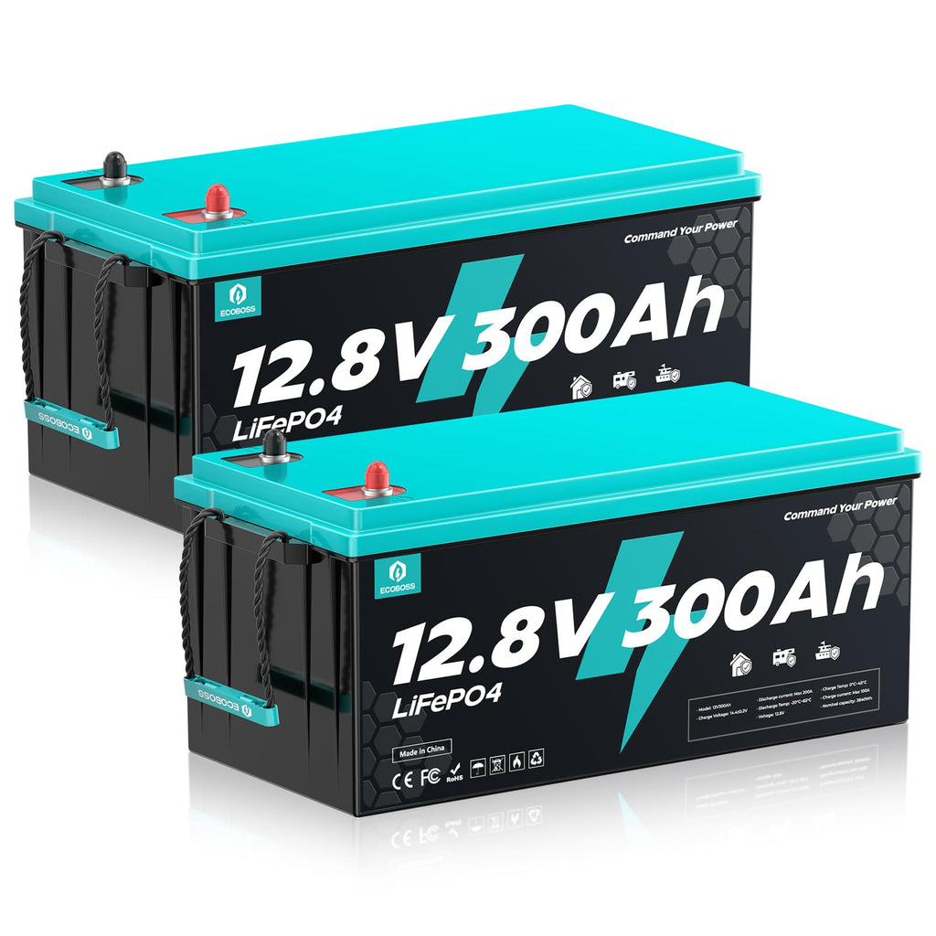 12V 300Ah LiFePO4 Deep Cycle Lithium Battery 2Pack J9906