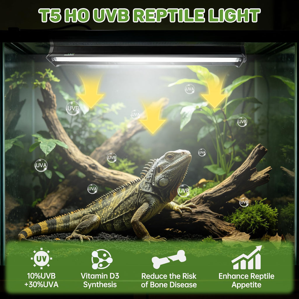 8W 10.0 UVA UVB Reptile Light Fixture N804