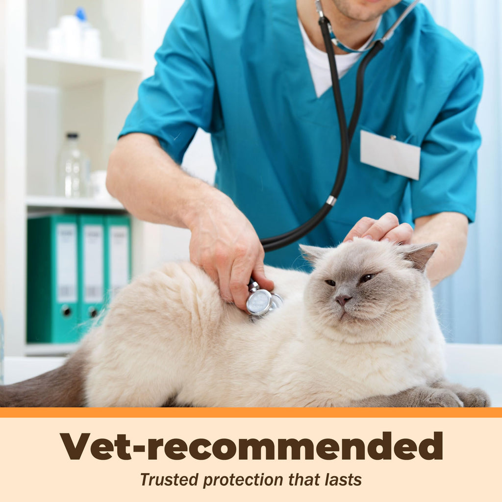 Fenbendazole Liquid 10% Dewormer 150ml Z1420