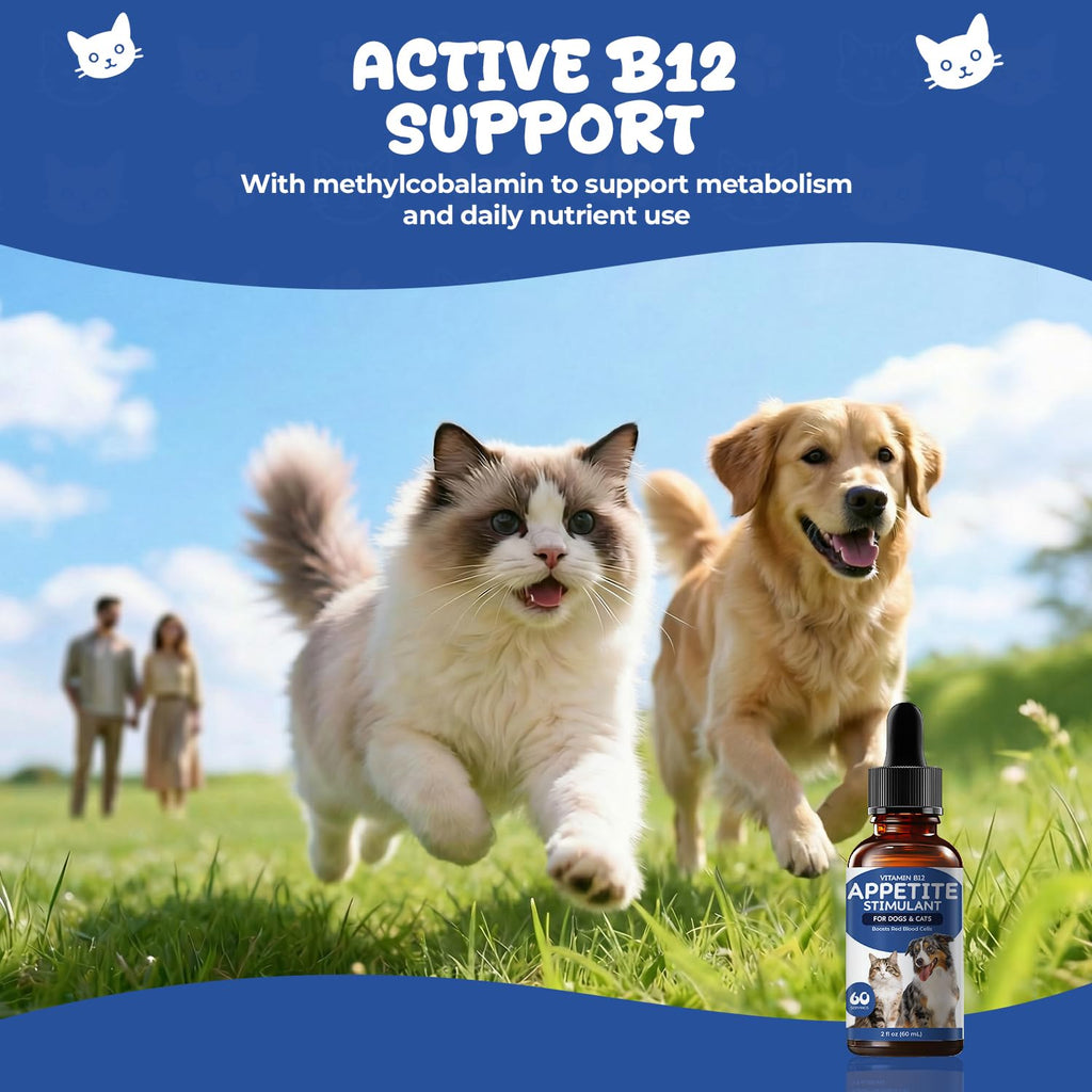 Vitamin B12 Drops with Methylcobalamin G405