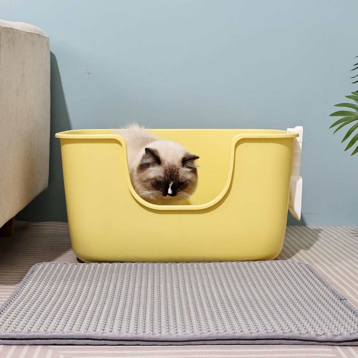 Extra Large Low Entry Cat Litter Box with High Sides A496431