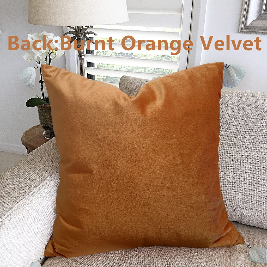 Boho Decorative Throw Pillow Cover with Tassels Fringe 18''x18'' B8706