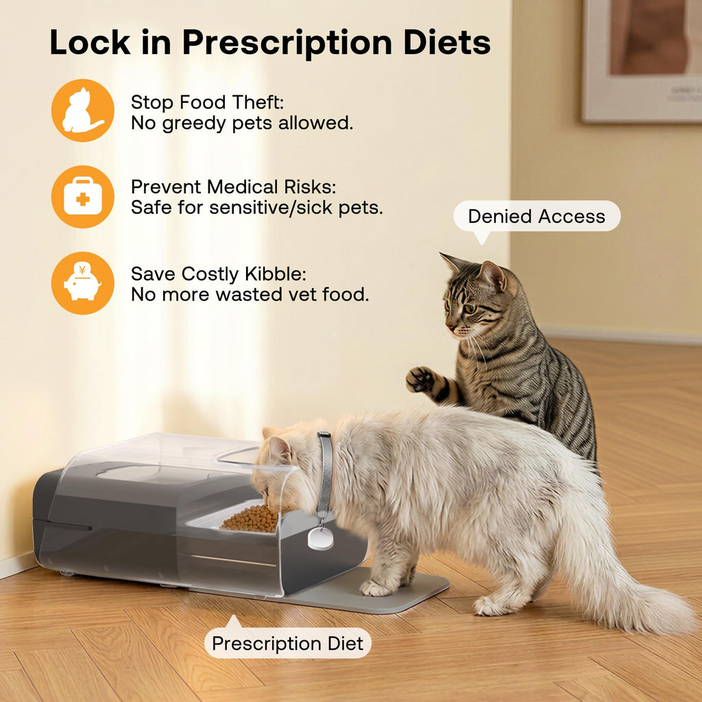 Automatic Cat Feeder with RFID Collar Sensor, Black E482729