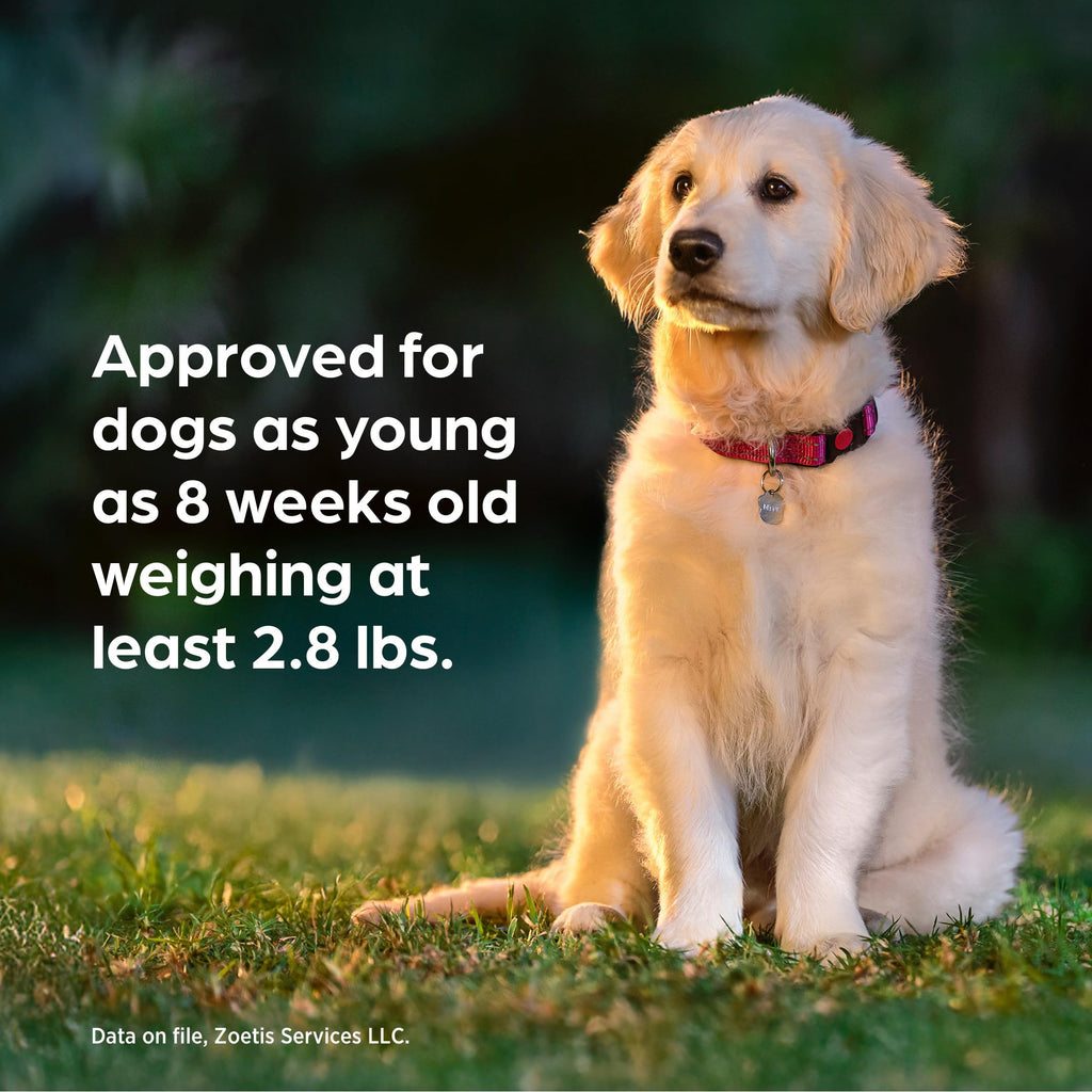 Chewable for Dogs Liver Flavor 88.1-132 lbs 1-Month F6175