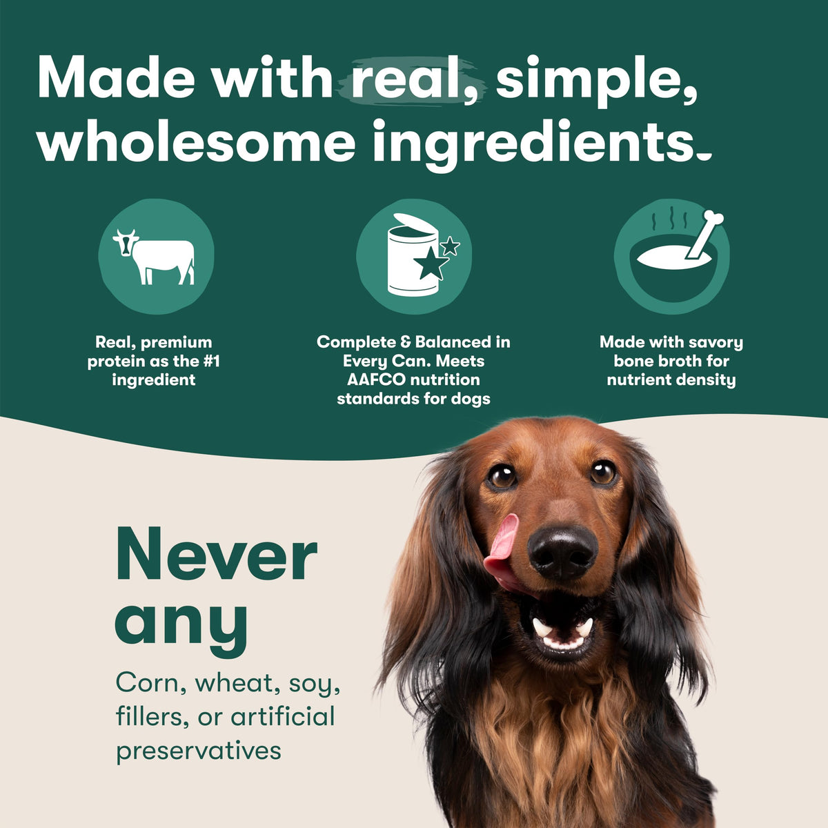 Grain Free Beef & Vegetables Wet Dog Food 12 Pack I2570