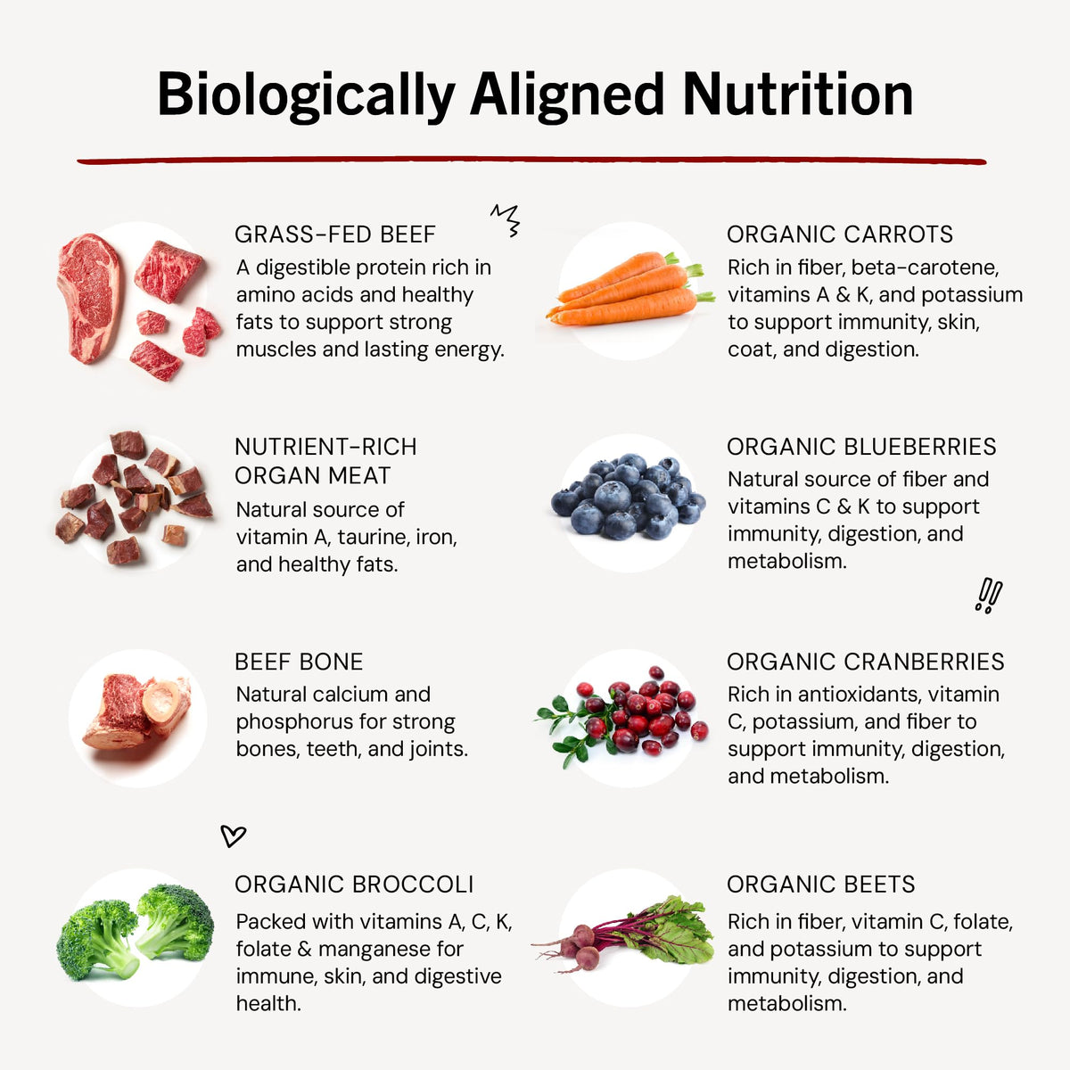 Freeze-Dried Raw Beef Grain-Free Dog Food 25 oz F82668