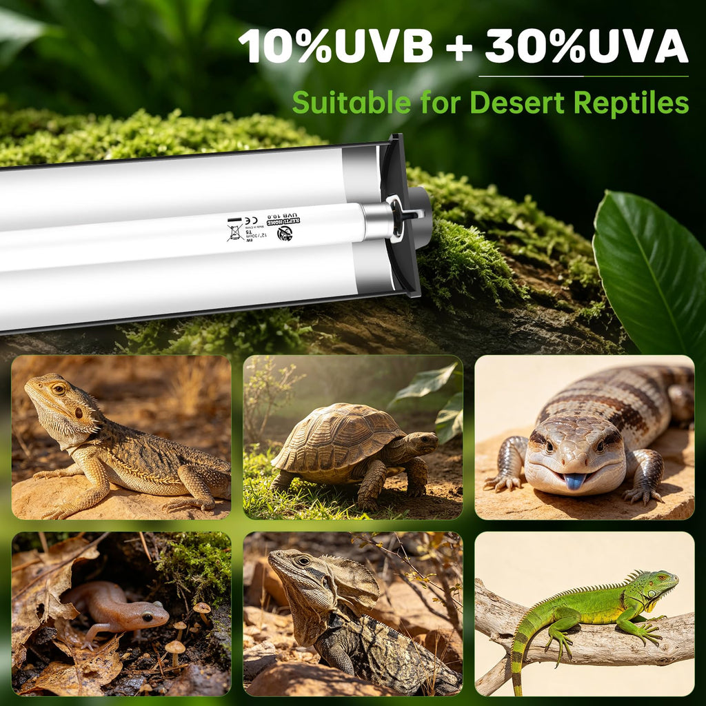 8W 10.0 UVA UVB Reptile Light Fixture N804
