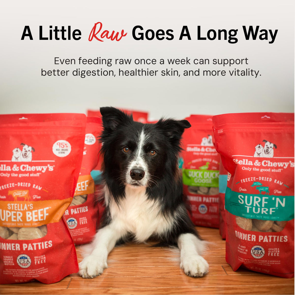 Freeze-Dried Raw Beef Grain-Free Dog Food 25 oz F82668