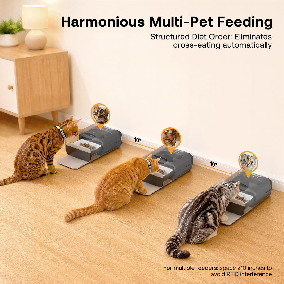 Automatic Cat Feeder with RFID Collar Sensor, Black E482729