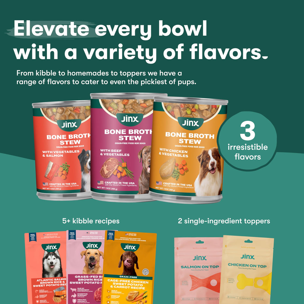 Grain Free Beef & Vegetables Wet Dog Food 12 Pack I2570