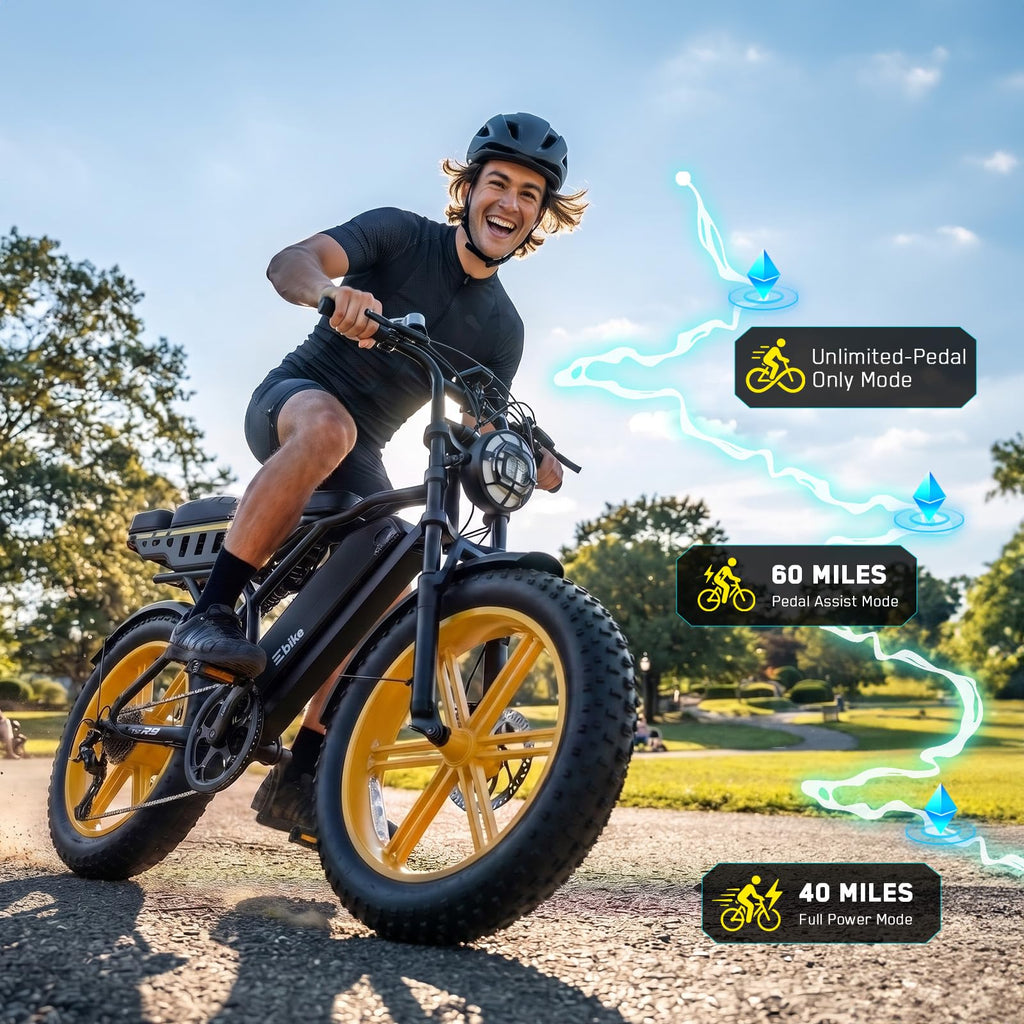 48V 2000W Peak Motor 20 * 4.0 Fat Tire Electric Bike X7302