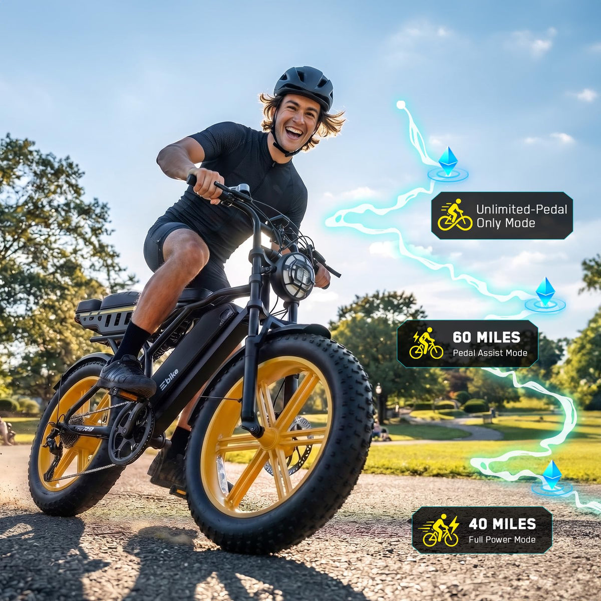 48V 2000W Peak Motor 20 * 4.0 Fat Tire Electric Bike X7302