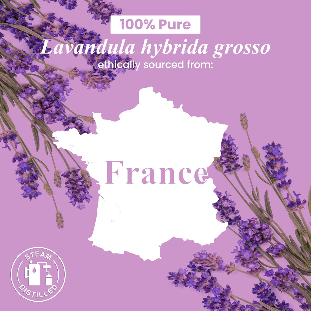 Lavender and Cedarwood Essential Oils 2 x 4 Fl Oz X29230