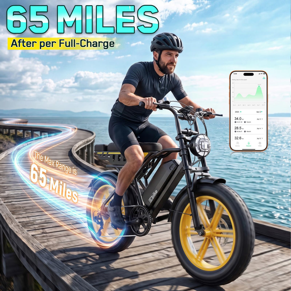 48V 2000W Peak Motor 20 * 4.0 Fat Tire Electric Bike X7302