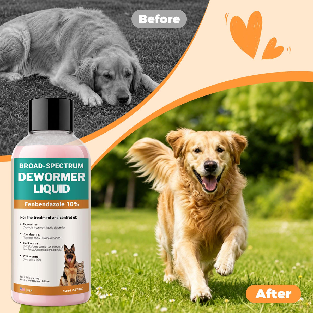 Fenbendazole Liquid 10% Dewormer 150ml Z1420