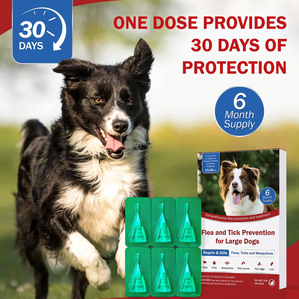 Flea and Tick Prevention for Large Dogs 45 to 88 lbs Y85486