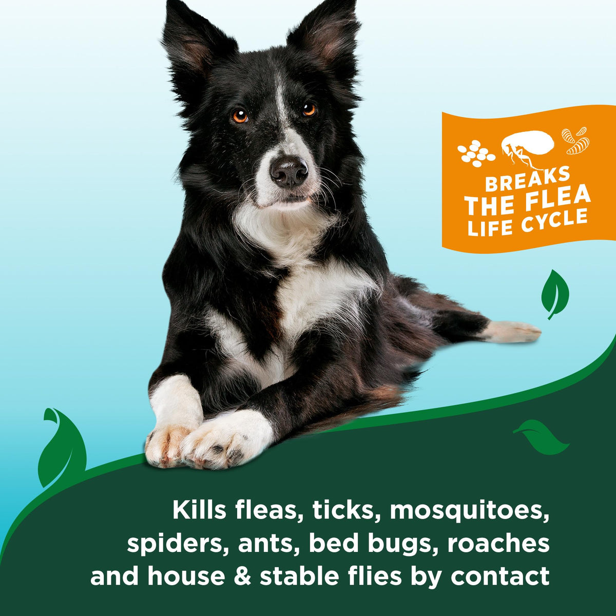 Waterless Flea & Tick Bath for Dogs 8 oz A304
