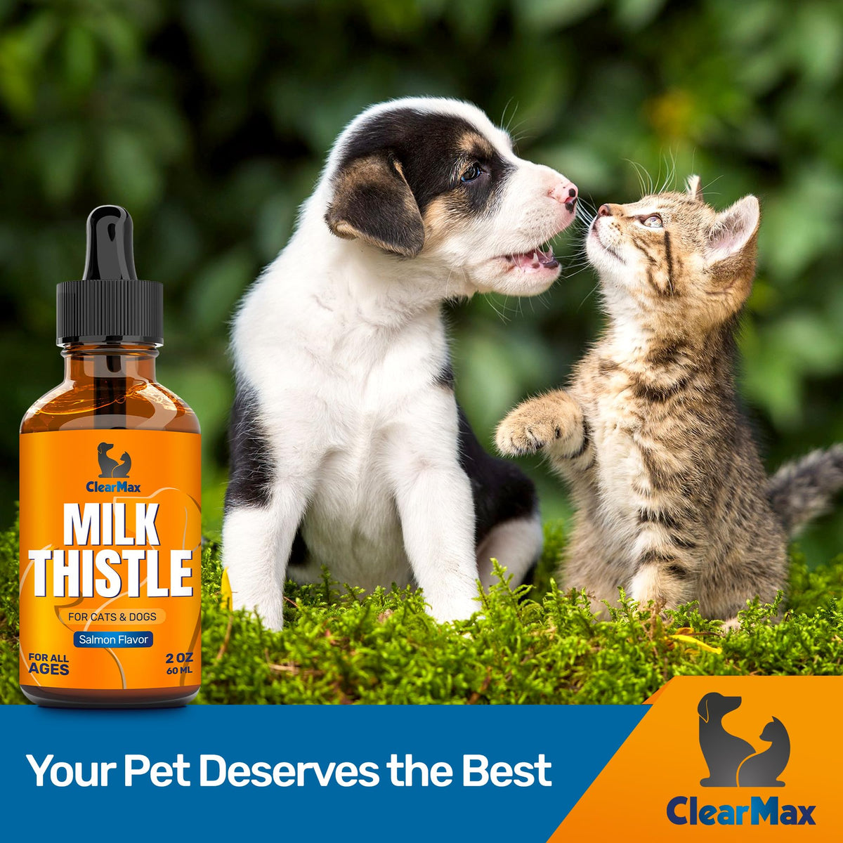 Milk Thistle for Dogs & Cats, 2 Oz W909