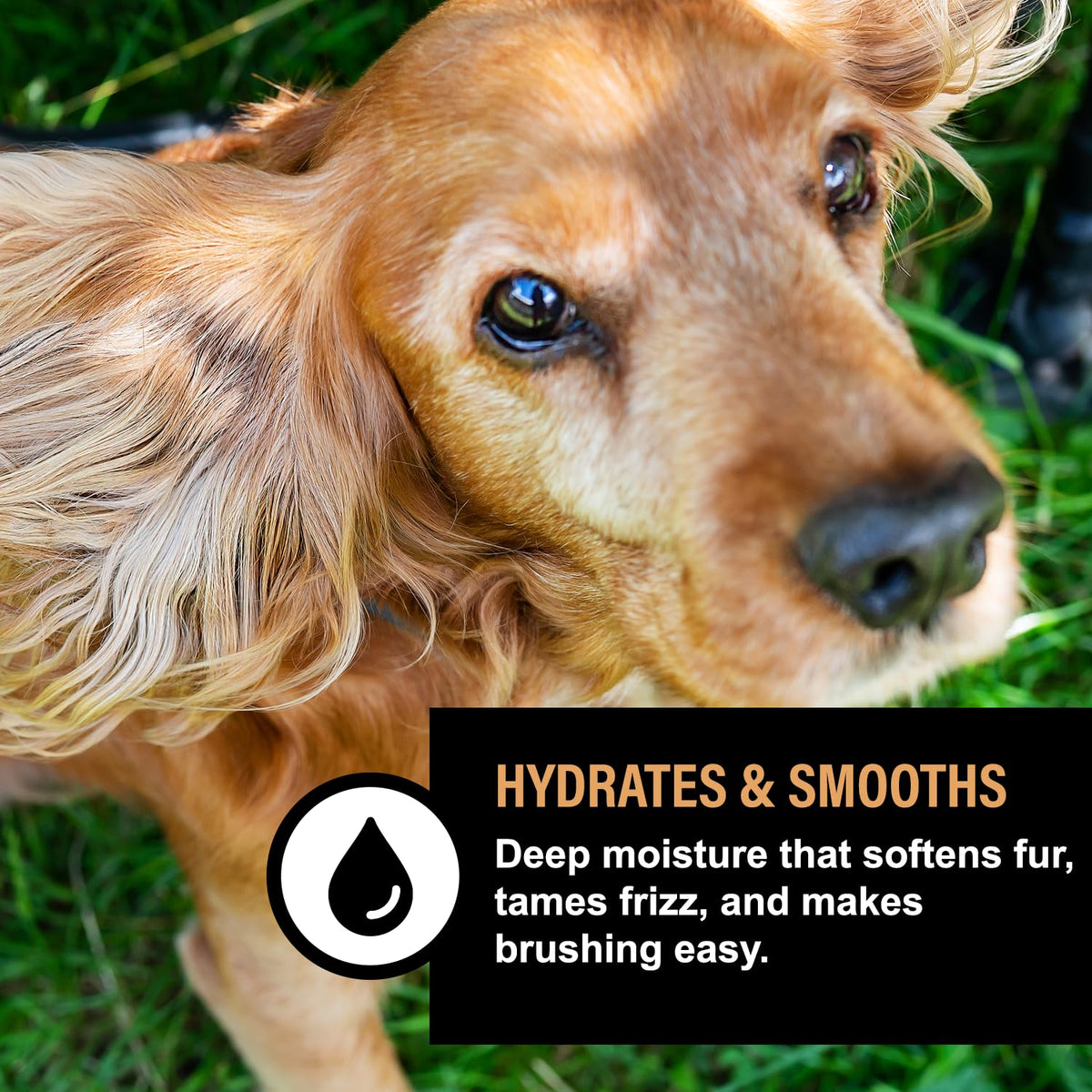 Oatmeal Honey Dog Deodorizing Spray Y537
