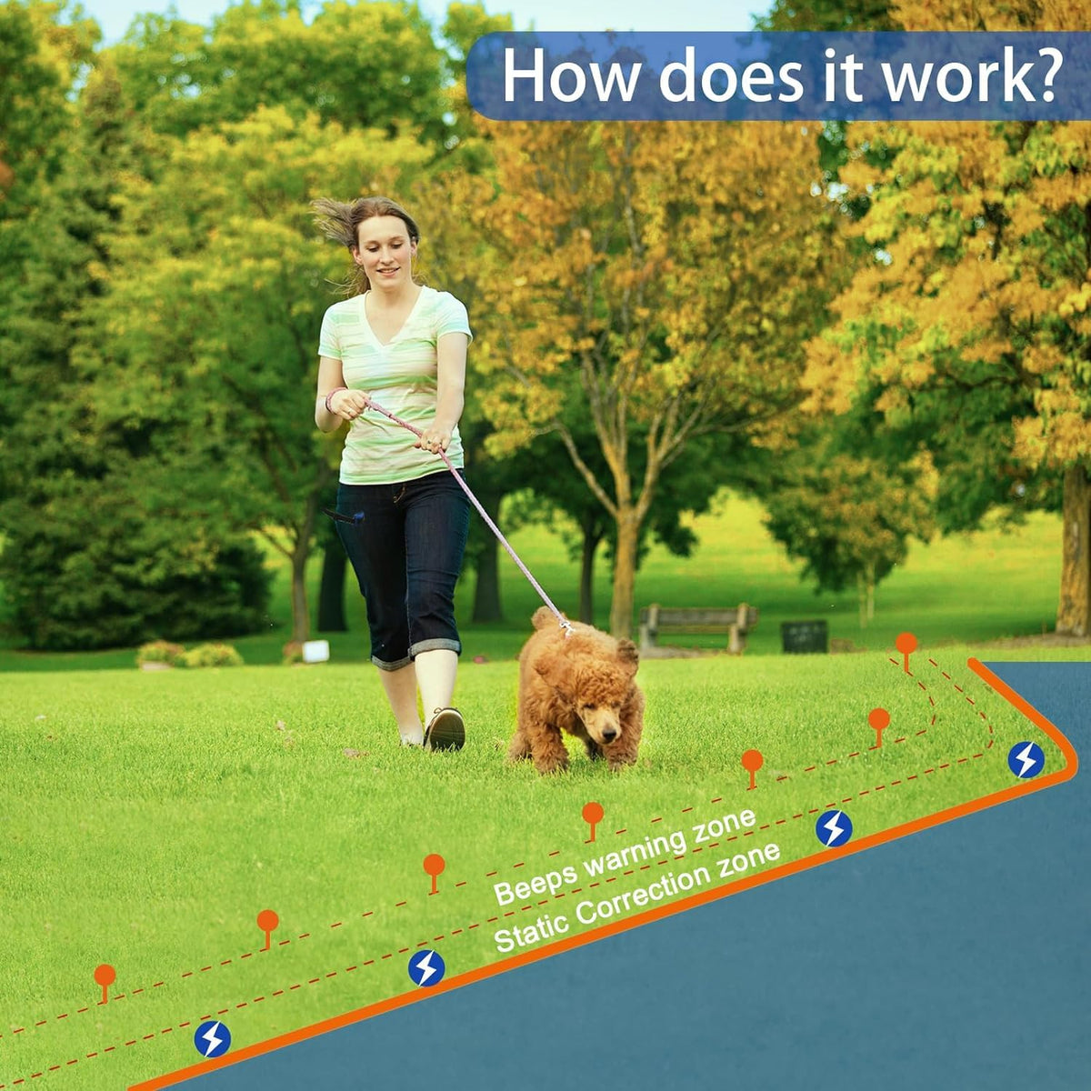 In-Ground Electric Dog Fence System with Waterproof Training Collar B119564