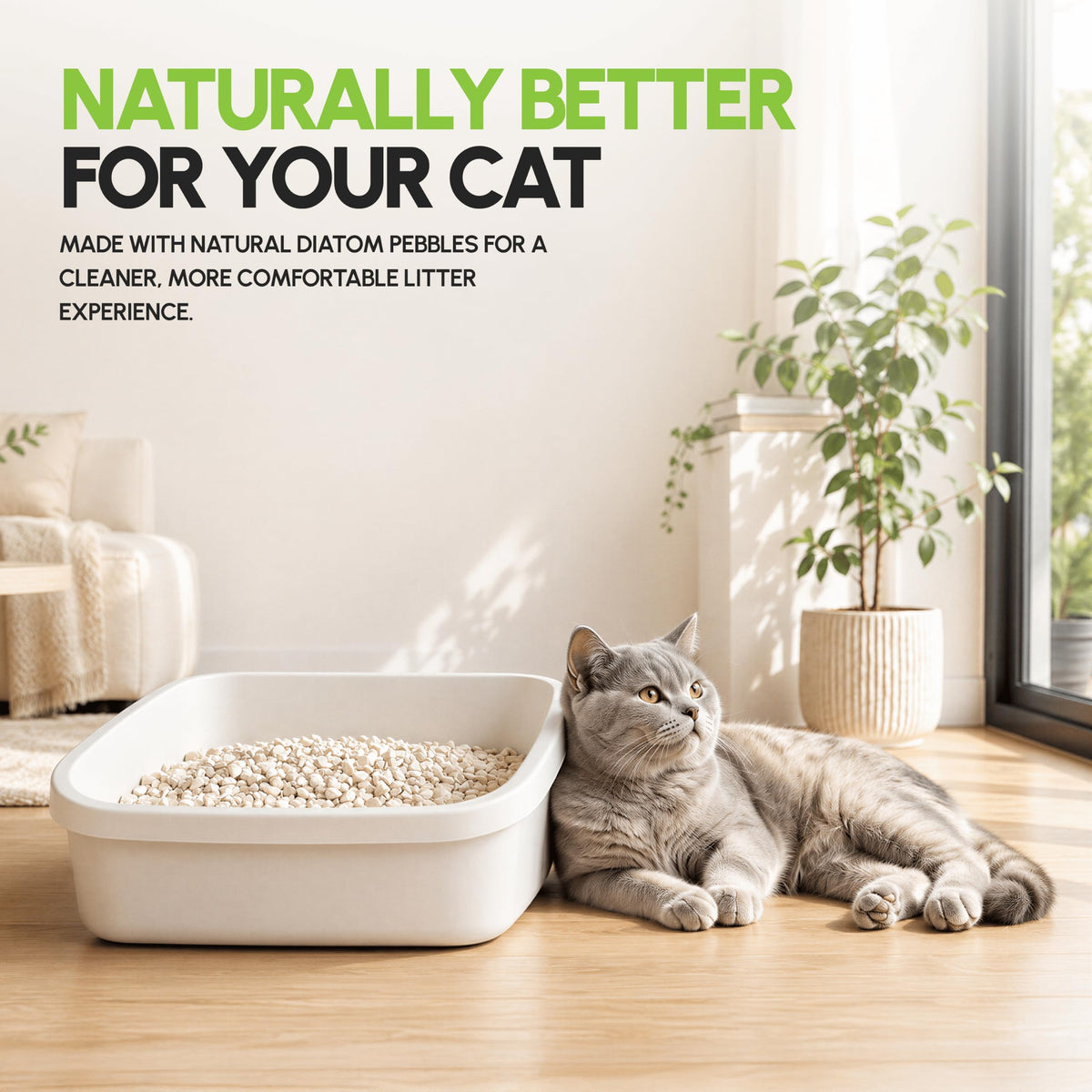 All Natural Unscented Cat Litter, 8 lbs X5100